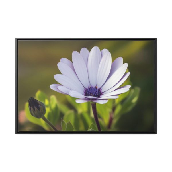 88289-431.jpg Herbaceous Plant Framed Canvas