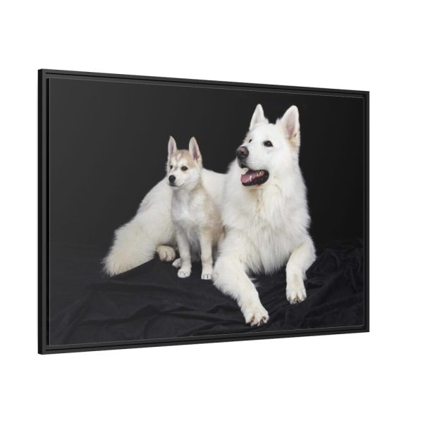 88289-45.jpg White Swiss Shepherds Framed Canvas
