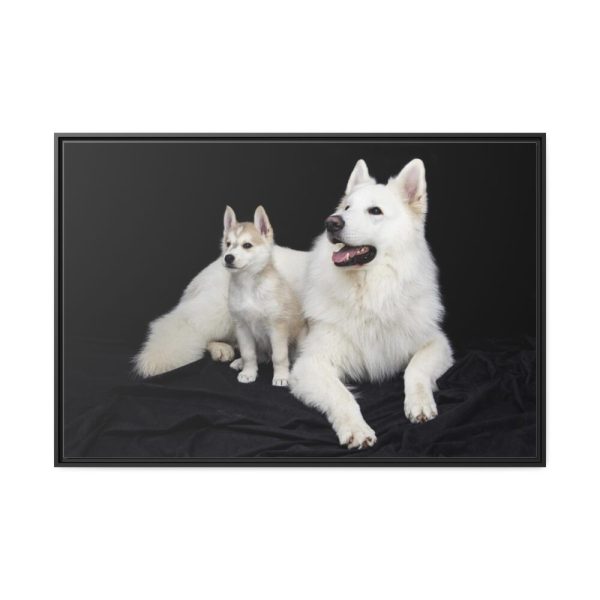 88289-46.jpg White Swiss Shepherds Framed Canvas
