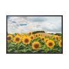 88289-461.jpg Agriculture Sunflower Framed Canvas