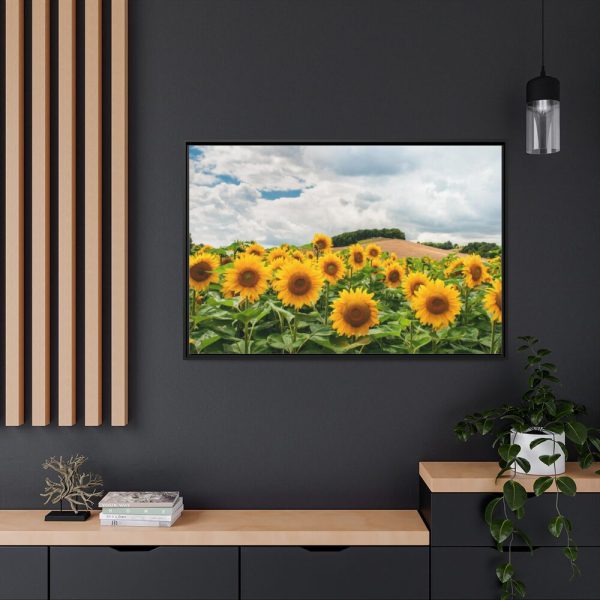 88289-464.jpg Agriculture Sunflower Framed Canvas