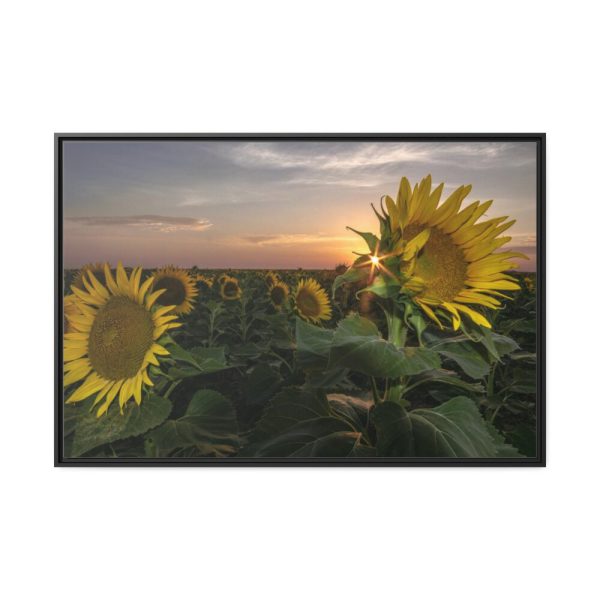 88289-466.jpg Sunflower Plant Flower Framed Canvas