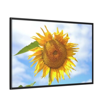 Farming Yellow Flowers  Framed Canvas