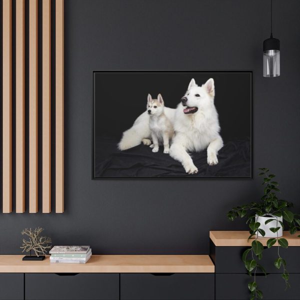 88289-49.jpg White Swiss Shepherds Framed Canvas