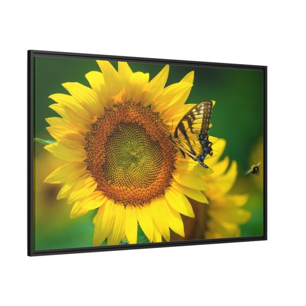 88289-495.jpg Sunflowers Begin to Bloom Framed Canvas
