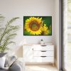 88289-498.jpg Sunflowers Begin to Bloom Framed Canvas