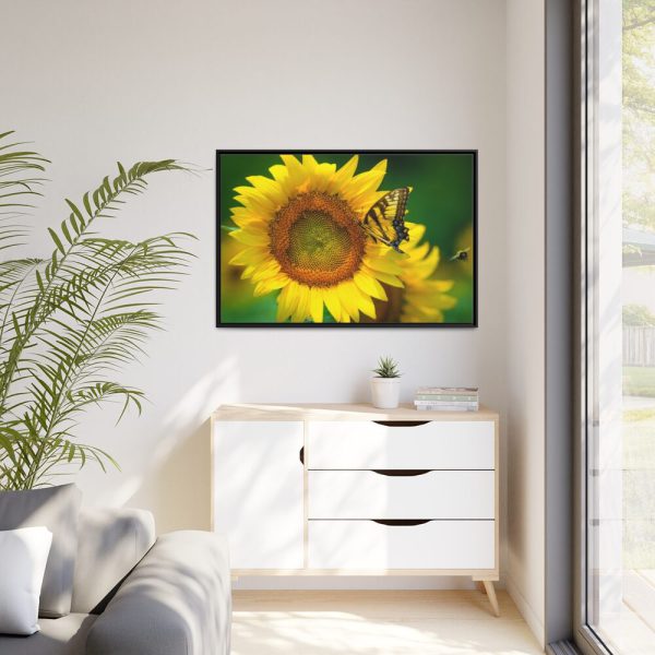 88289-498.jpg Sunflowers Begin to Bloom Framed Canvas