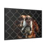 88289-5.jpg Dog Behind Wire Fence Framed Canvas