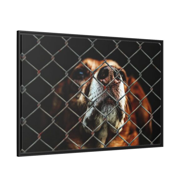88289-5.jpg Dog Behind Wire Fence Framed Canvas