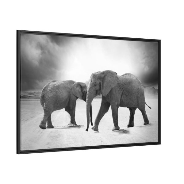 88289-515.jpg Elephant Ivory Animals Africa framed Canvas