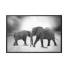 88289-516.jpg Elephant Ivory Animals Africa framed Canvas