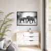 88289-518.jpg Elephant Ivory Animals Africa framed Canvas