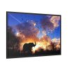 88289-530.jpg Elephants and Birds in the Nature Framed Canvas