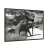 88289-575.jpg Mother and Baby Elephant on the Road Framed Canvas