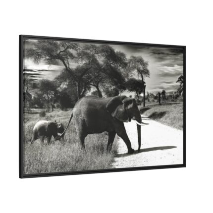 Mother and Baby Elephant on the Road Framed Canvas
