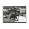 88289-576.jpg Mother and Baby Elephant on the Road Framed Canvas