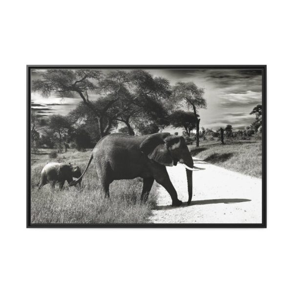 88289-576.jpg Mother and Baby Elephant on the Road Framed Canvas