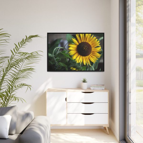 88289-583.jpg Blooming Sunflower Framed Canvas