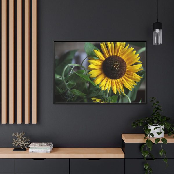 88289-584.jpg Blooming Sunflower Framed Canvas