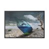 88289-586.jpg Bottle Dolphin in Desert Framed Canvas