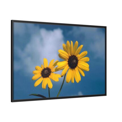 Blue Sky and Sunflower  Framed Canvas