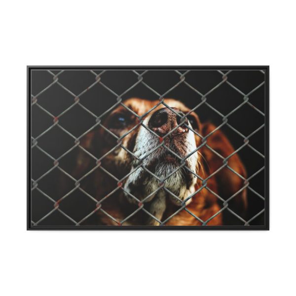 88289-6.jpg Dog Behind Wire Fence Framed Canvas