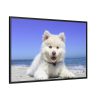 88289-60.jpg Dog on the Beach Framed Canvas
