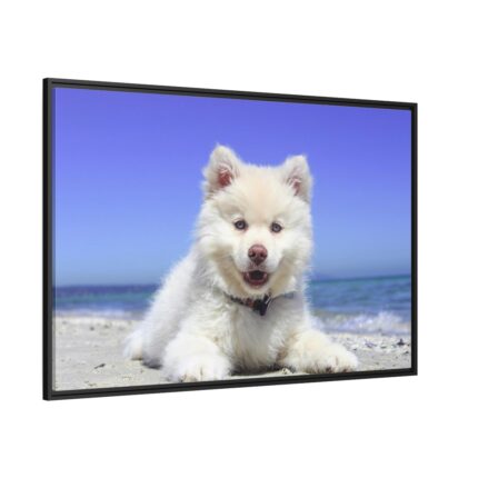 Dog on the Beach Framed Canvas