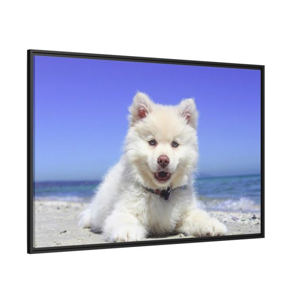 88289-60.jpg Dog on the Beach Framed Canvas