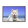 88289-61.jpg Dog on the Beach Framed Canvas
