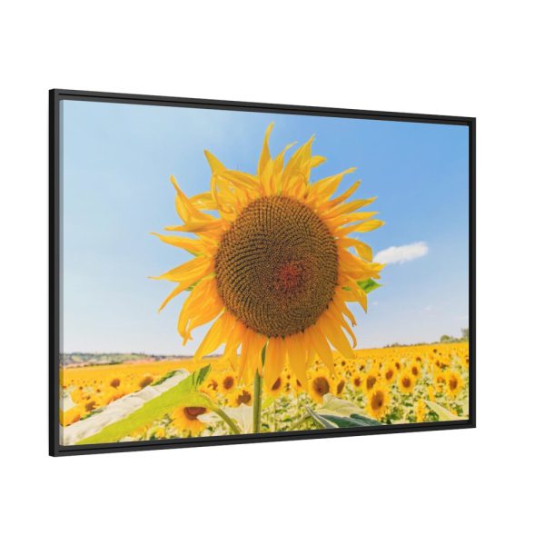 88289-625.jpg Sunflower Summer Framed Canvas