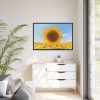 88289-628.jpg Sunflower Summer Framed Canvas