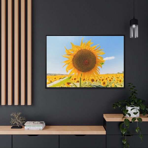 88289-629.jpg Sunflower Summer Framed Canvas