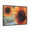 88289-630.jpg Colorful Orange Sunflower Framed Canvas