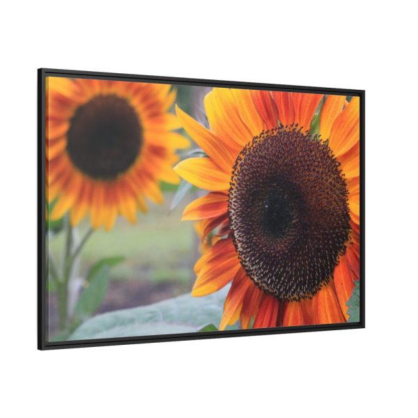 88289-630.jpg Colorful Orange Sunflower Framed Canvas