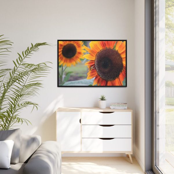 88289-633.jpg Colorful Orange Sunflower Framed Canvas