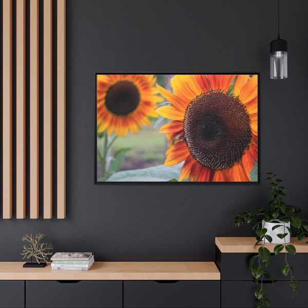 88289-634.jpg Colorful Orange Sunflower Framed Canvas