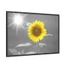 88289-635.jpg Beauty Sunflower Framed Canvas