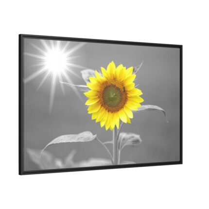Beauty Sunflower Framed Canvas
