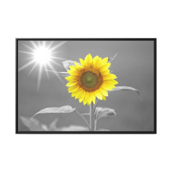 88289-636.jpg Beauty Sunflower Framed Canvas