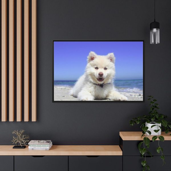 88289-64.jpg Dog on the Beach Framed Canvas