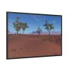 Desert in Africa Framed Canvas