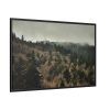 88289-670.jpg Forest Nature Framed Canvas