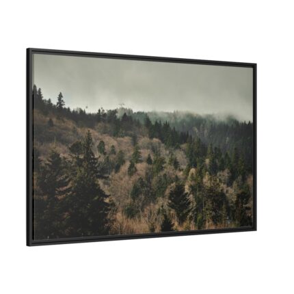 Forest Nature Framed Canvas