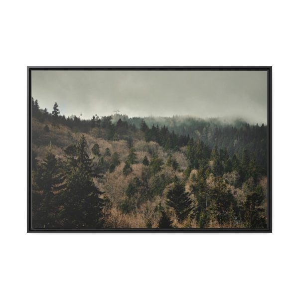 88289-671.jpg Forest Nature Framed Canvas