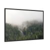 88289-675.jpg Forest in Fog Framed Canvas