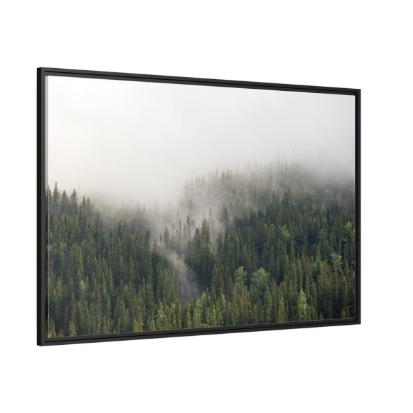 88289-675.jpg Forest in Fog Framed Canvas