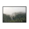 88289-676.jpg Forest in Fog Framed Canvas