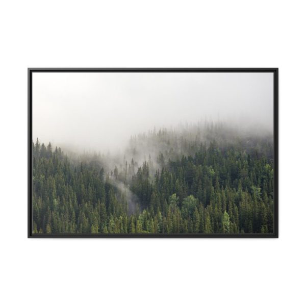 88289-676.jpg Forest in Fog Framed Canvas