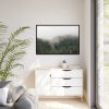 88289-678.jpg Forest in Fog Framed Canvas